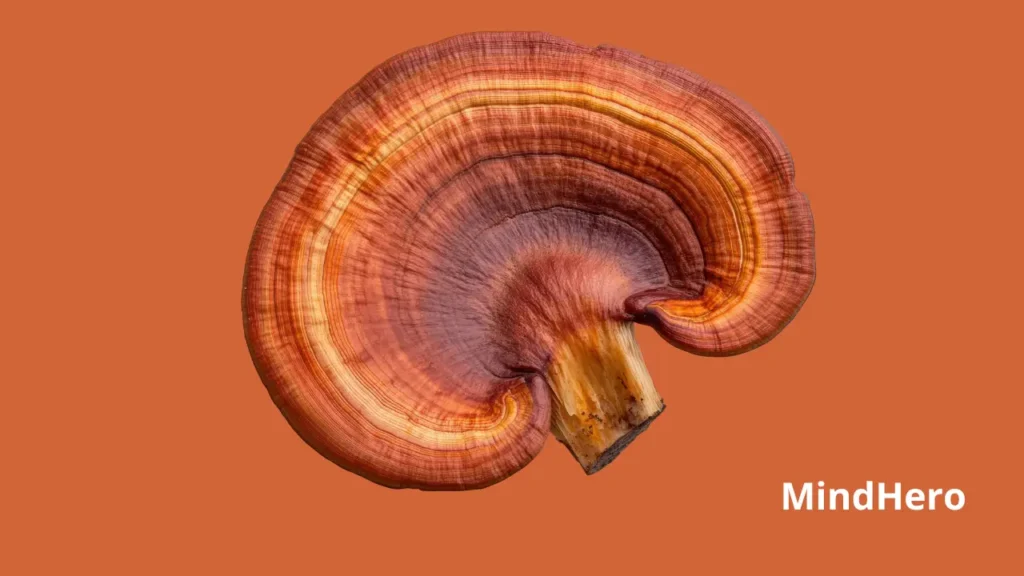 Adaptogens for Focus