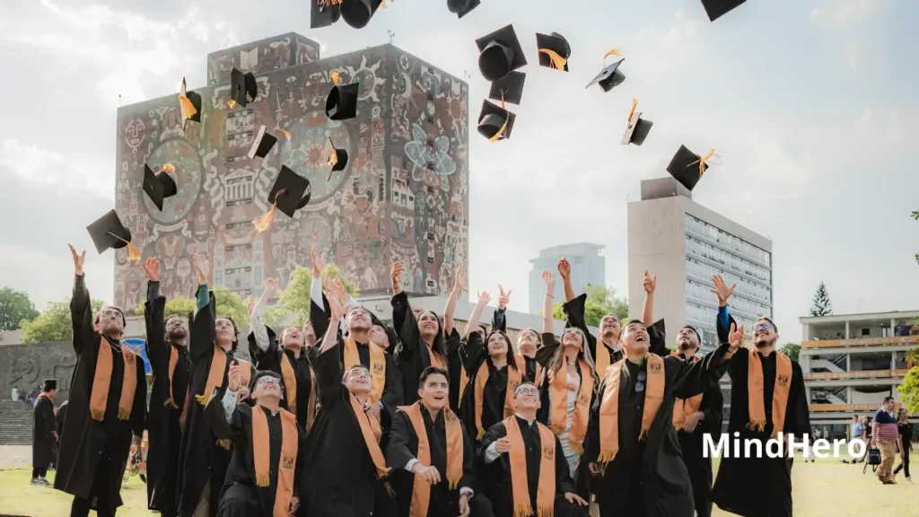 Brain Supplements & Academic Performance