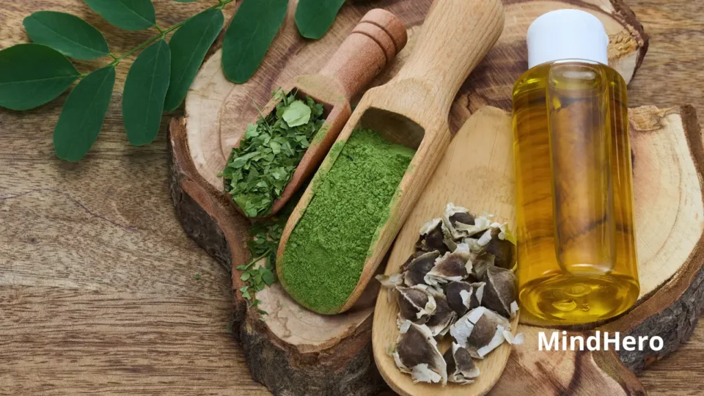 Best Supplement Ingredients for Focus